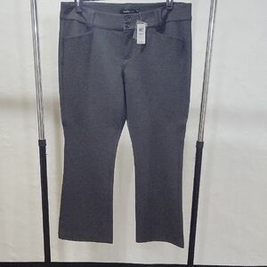 Studio By Torrid Bootcut Pants